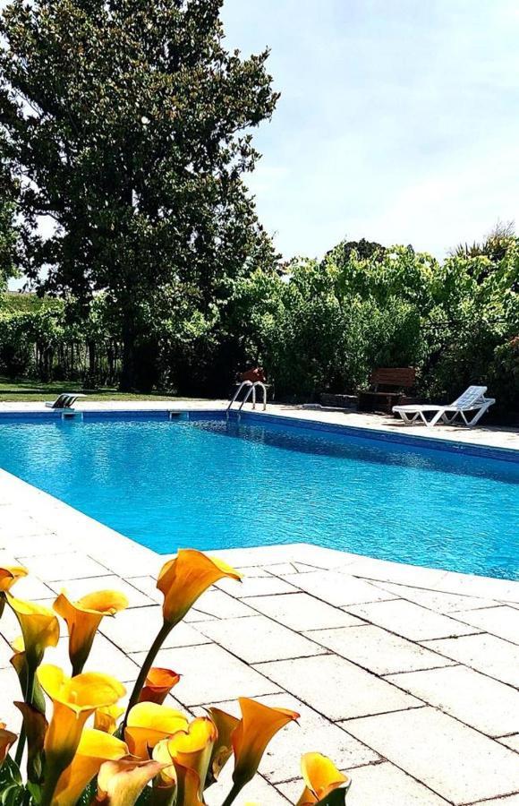 Quinta De Maderne Βίλα Felgueiras Εξωτερικό φωτογραφία