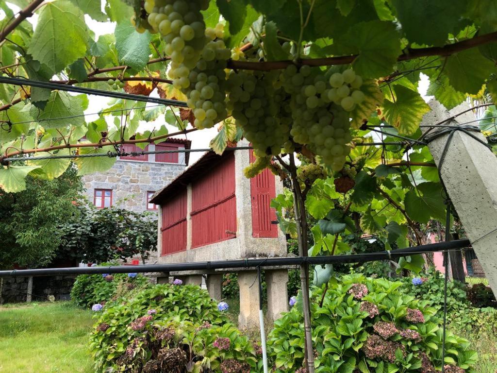 Quinta De Maderne Βίλα Felgueiras Εξωτερικό φωτογραφία