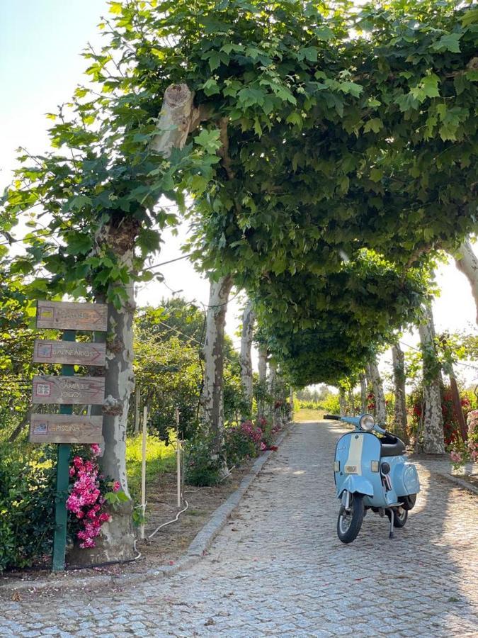 Quinta De Maderne Βίλα Felgueiras Εξωτερικό φωτογραφία