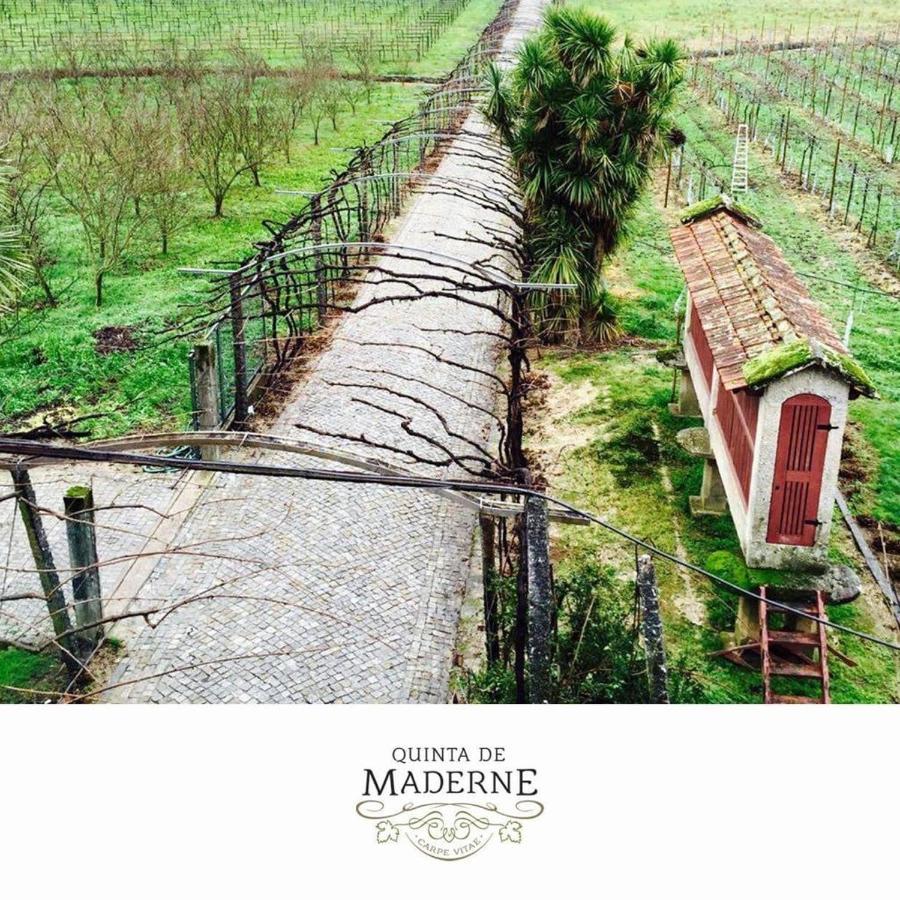 Quinta De Maderne Βίλα Felgueiras Εξωτερικό φωτογραφία