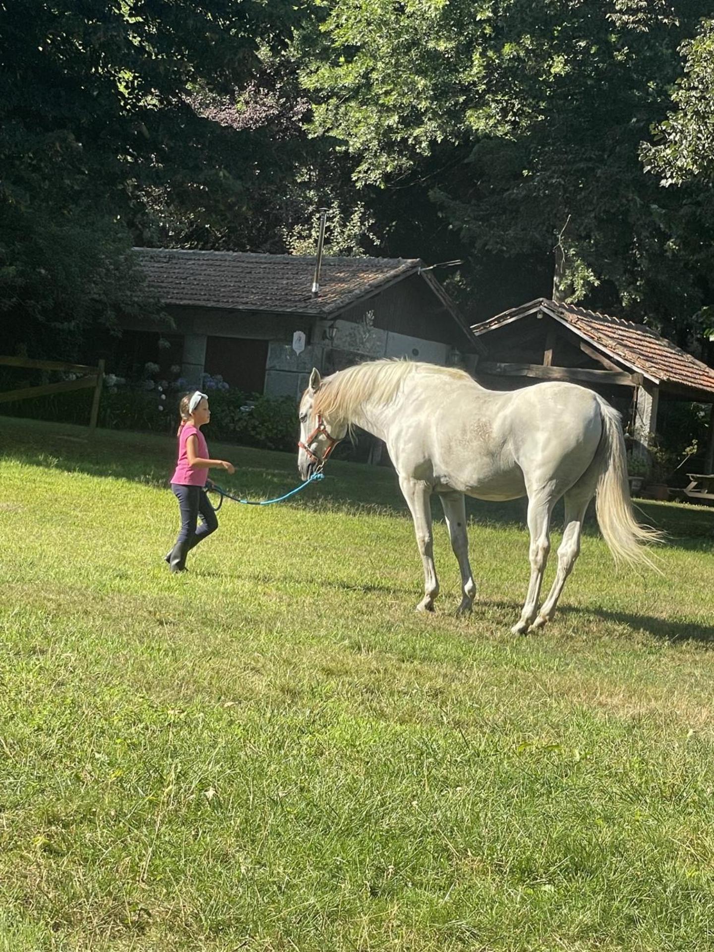 Quinta De Maderne Βίλα Felgueiras Εξωτερικό φωτογραφία