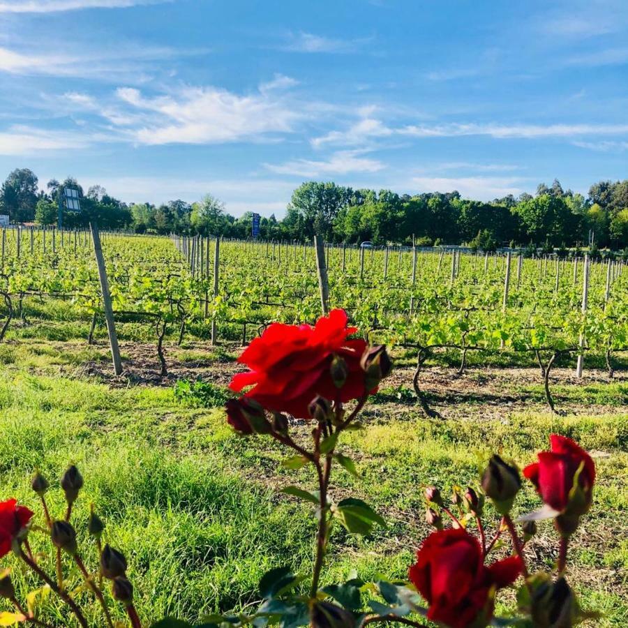 Quinta De Maderne Βίλα Felgueiras Εξωτερικό φωτογραφία